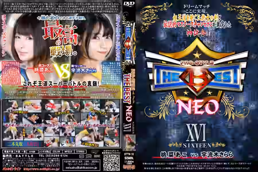 【プロレス】
PRO-STYLE THE BEST NEO 16【バトル】