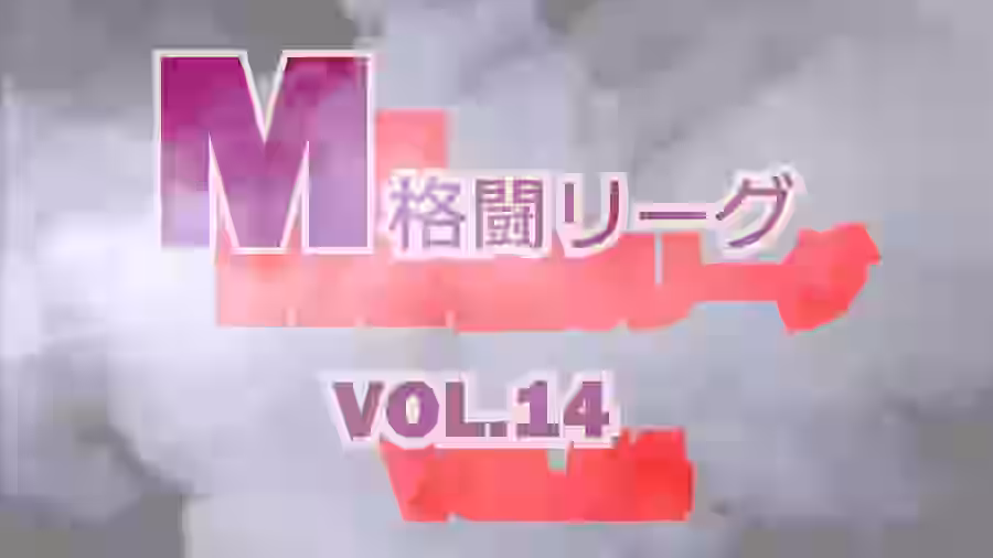 M格闘リーグ VOL.14【ミックスファイトジャパン(動画)】