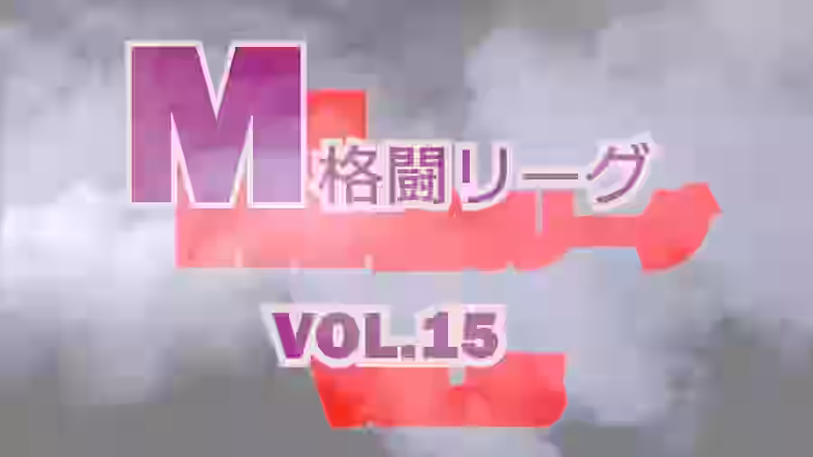 M格闘リーグ VOL.15【ミックスファイトジャパン(動画)】