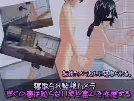 寝取られ監視カメラ ぼくの妻は知らない男と喜んで交尾する【.ini.】（オリジナル同人）
