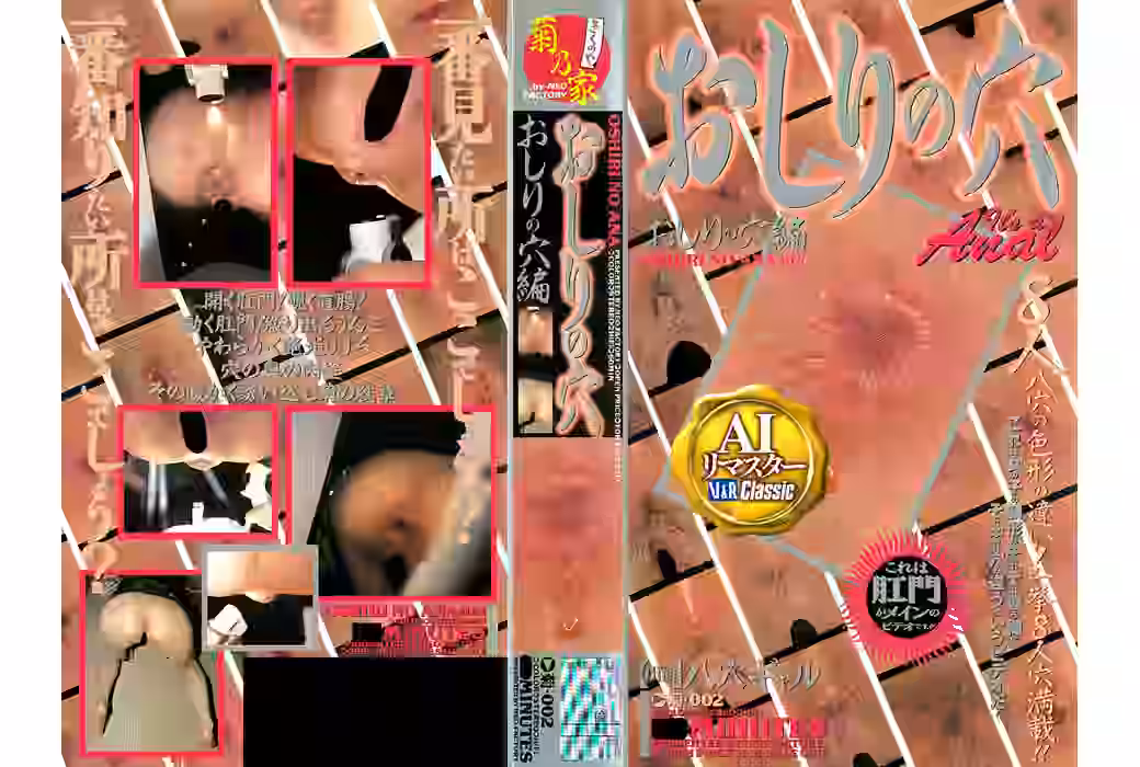 【AIリマスター】おしりの穴 おしりの穴編（AKVRRE-001）【V&R】