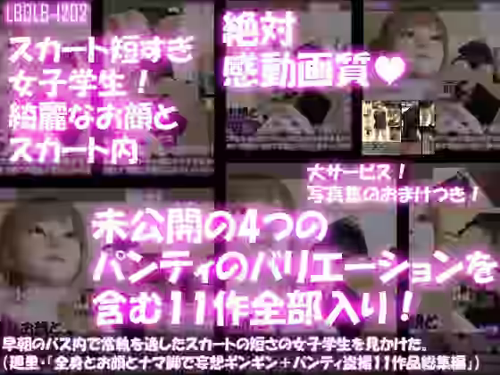 早朝のバス内で常軌を逸したスカートの短さの女子学生を見かけた。（一ノ瀬廻里・綺麗でそそるナマ脚とご尊顔をじっくり撮影＆その後スカート内盗撮・未公開の4作品を含む11作品全部入り総集編！）【Libido-Labo】（オリジナル同人）