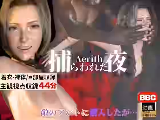 アジトに乗り込んだはずが、逆に捕らわれた夜【Anitoon】（ゲーム系同人）