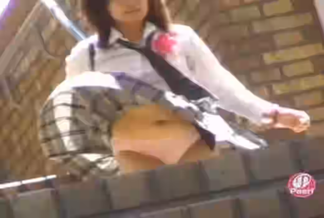 風チラセットの画像