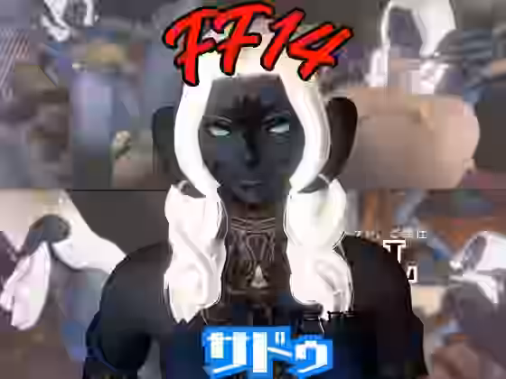 FF14のサドゥと楽しむサキュバスプレイや3Pの動画パック【パラレル】（ゲーム系同人）