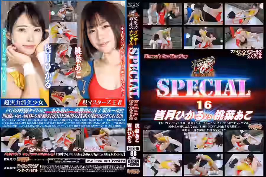 FGISPECIAL16の画像