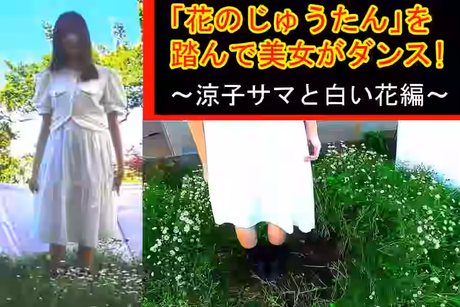 【M男  M系踏み  クラッシュ】「花のじゅうたん」を踏んで美女がダンス!～涼子様と白い花編～【制服少女に踏まれたい!】