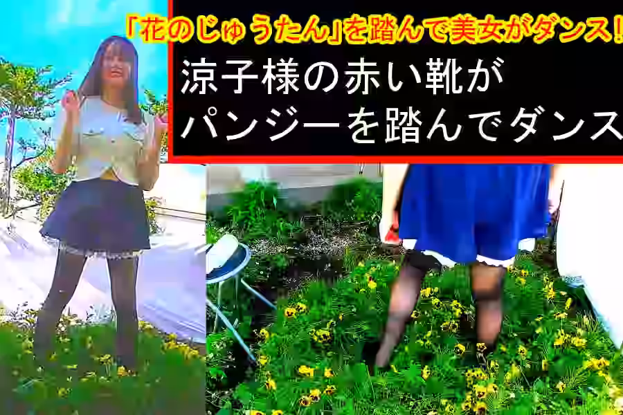 【M男  M系踏み  クラッシュ】「花のじゅうたん」を踏んで美女がダンス!～涼子様の赤い靴がパンジーを踏んでダンス～【制服少女に踏まれたい!】