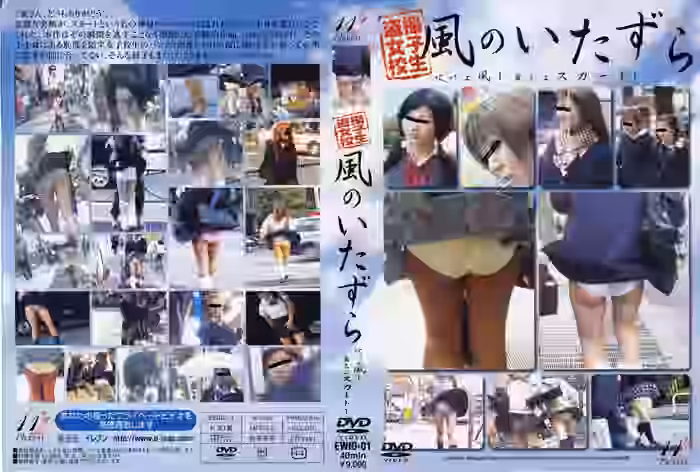 風のいたずら（DLEWID-01）