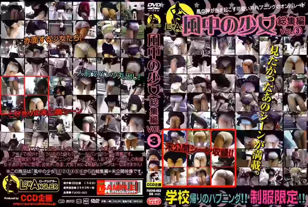 風中の少女総集編VOL③制服スペシャルの画像