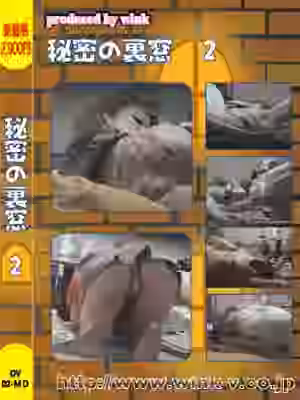 秘密の裏窓2の画像