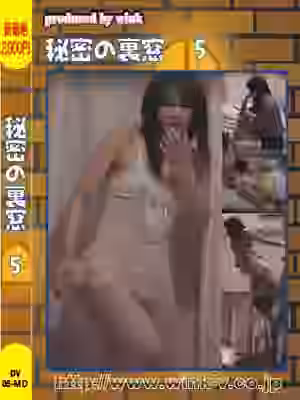 秘密の裏窓５の画像