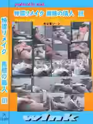 特濃リメイク　素顔の隣人　３（WI366）