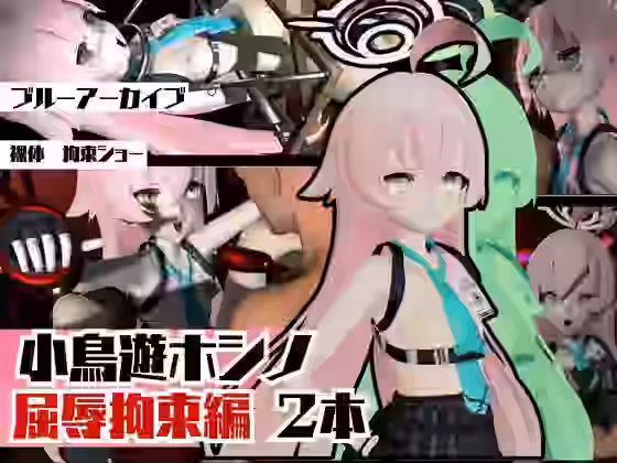 ブルーアーカイブの小鳥遊ホシノ生誕祭、誕生日ということで拘束調教動画2本セット！【パラレル】（ゲーム系同人）