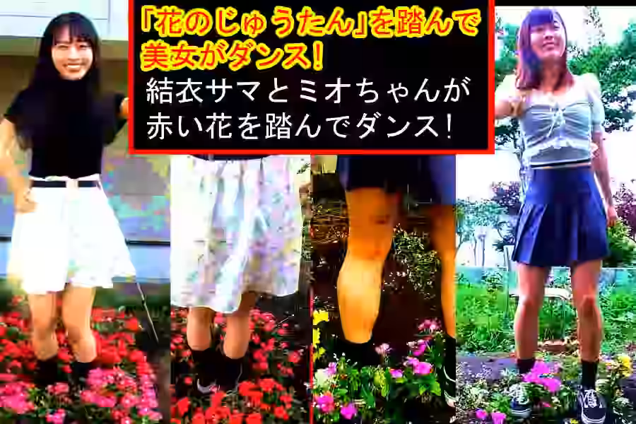 【M男  M系踏み  クラッシュ】「花のじゅうたん」を踏んで美女がダンス!～結衣サマとミオちゃんが赤い花を踏んでダンス～【制服少女に踏まれたい!】