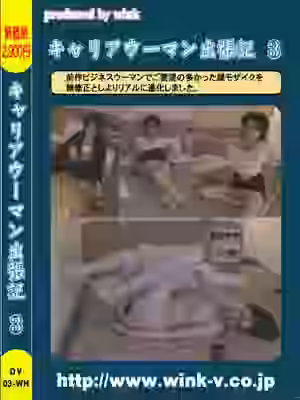 キャリアウーマン出張記３の画像