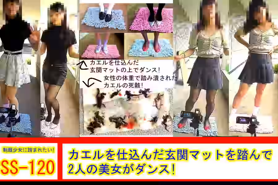 【M男  M系踏み  クラッシュ】カエルを仕込んだ玄関マットを踏んで2人の美女がダンス!【制服少女に踏まれたい!】