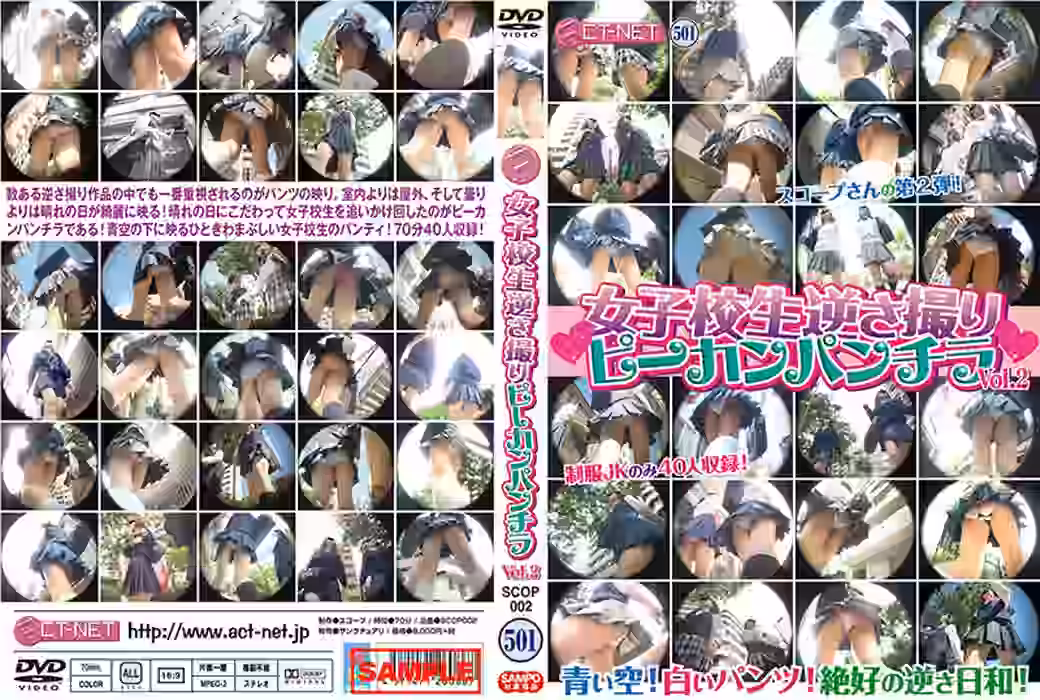 女子校生逆さ撮り ピーカンパンチラ Vol.2（SASCOP002）