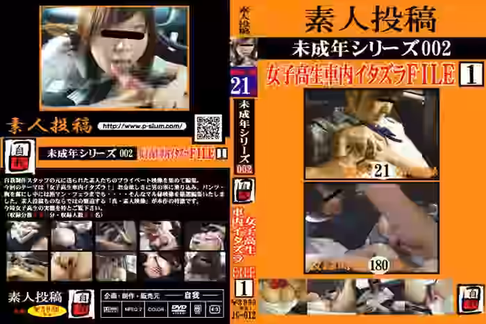 素人投稿　未成年シリーズ002　女子高生車内イタズラＦＩＬＥ1（DLJG-012）【自我】
