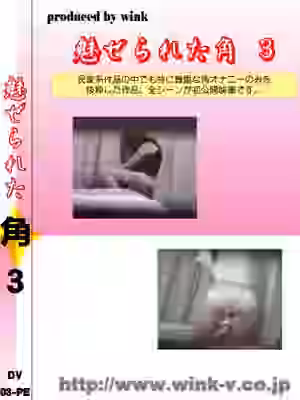 魅せられた角３（WI068）【wink】